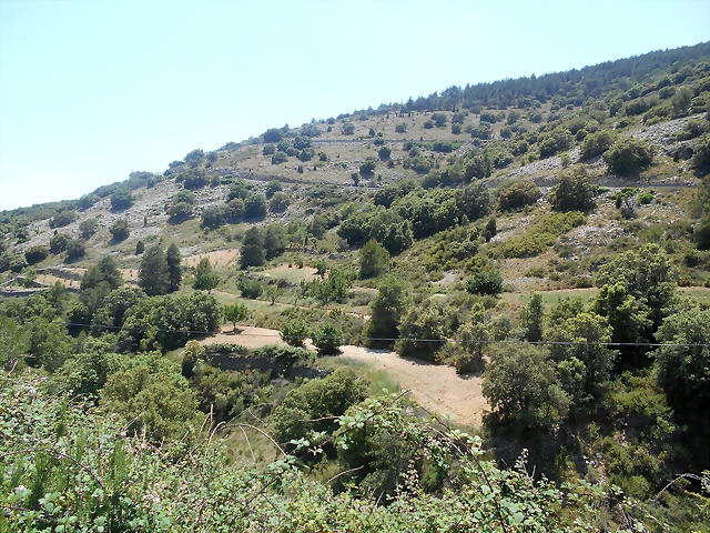 DSCN2392 DSCN2392