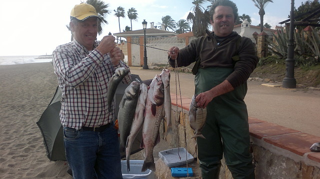 robalo5 robalo5