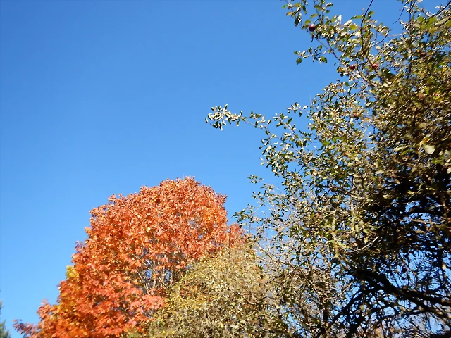 DSCN1084 DSCN1084