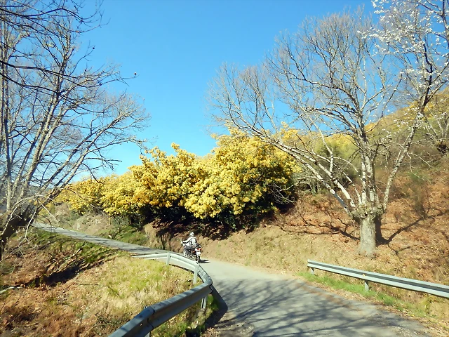 DSCN2691 DSCN2691