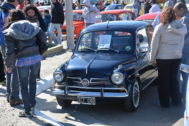 DSC_0104 DSC_0104