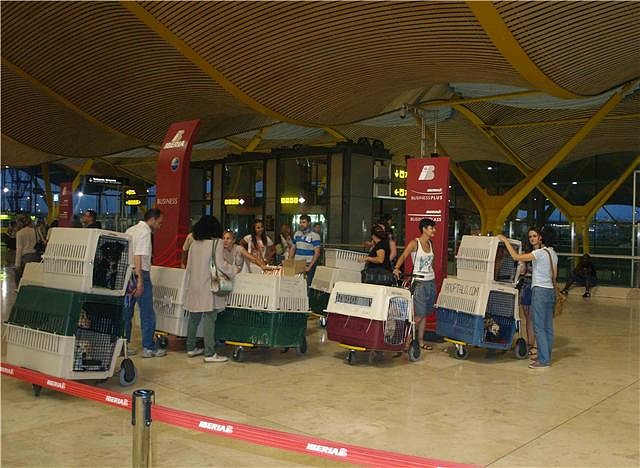 barajas2 barajas2