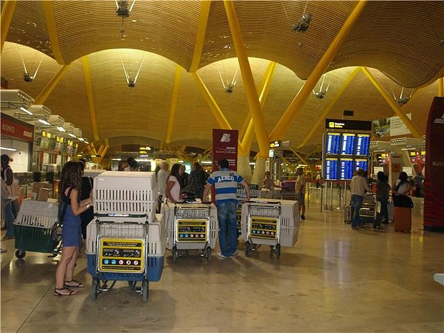 barajas1 barajas1