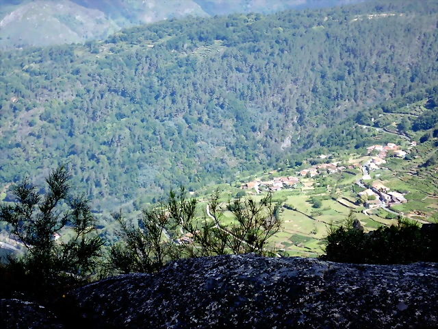 DSCN7631 DSCN7631
