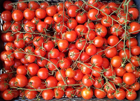 Tomatitos en rama