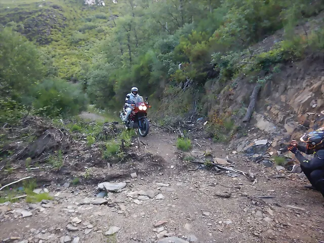 DSCN3566 DSCN3566