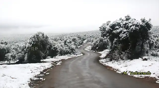 02, la peuela, marca