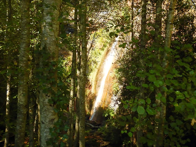 DSCN7840 DSCN7840