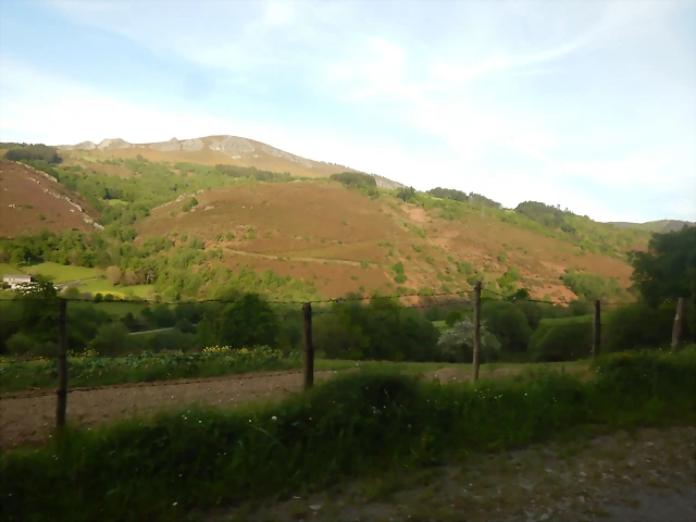 DSCN2137 DSCN2137