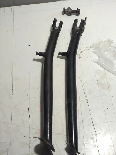 pata1