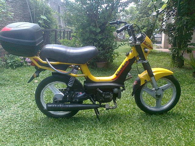 beta 1