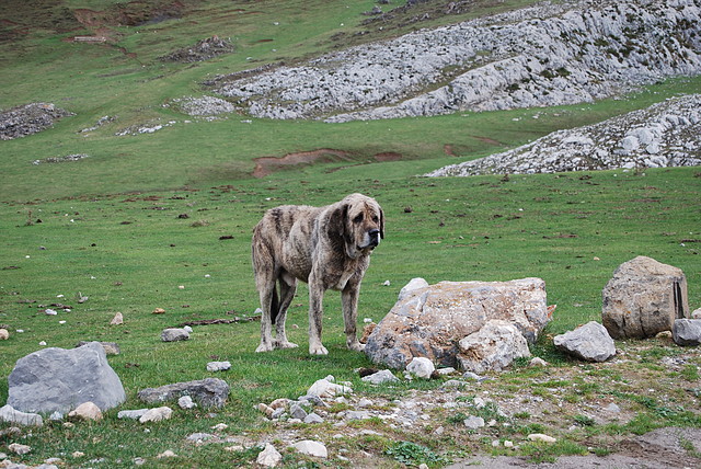DSC_0235 DSC_0235