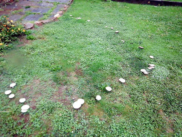 DSCN1210 DSCN1210