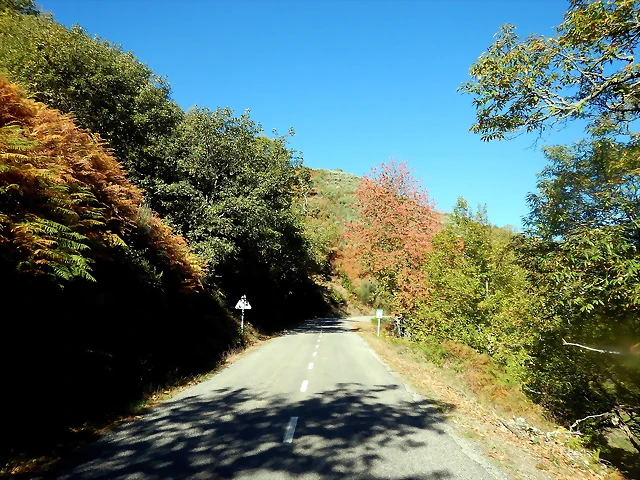 DSCN9173 DSCN9173