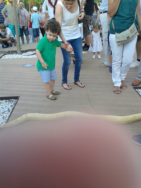 Bruno serpientes Bruno serpientes