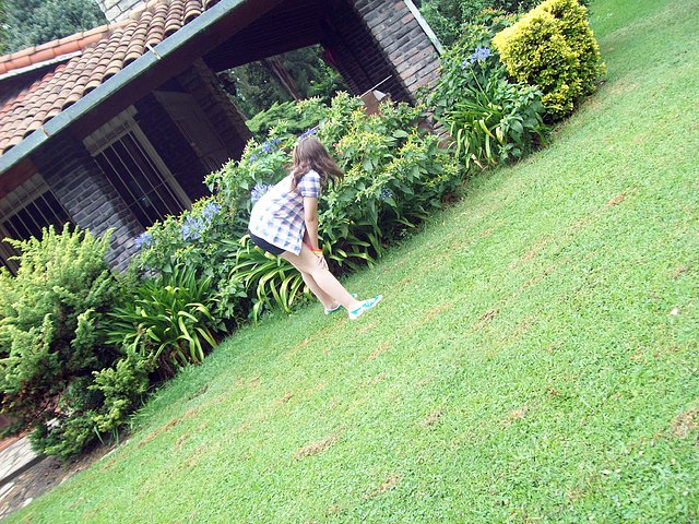 Plantitas. Plantitas.