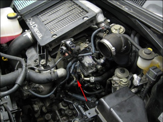 EGR1 EGR1