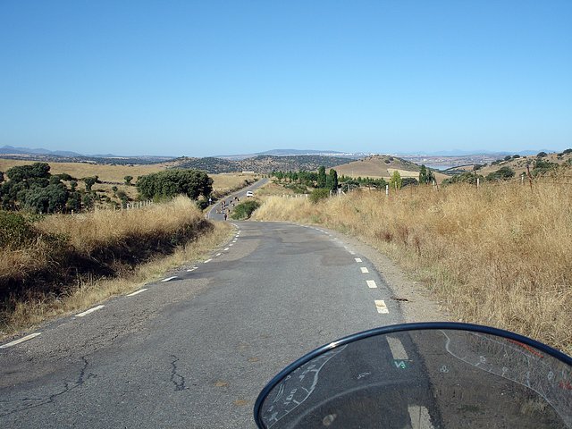 vacas y motos