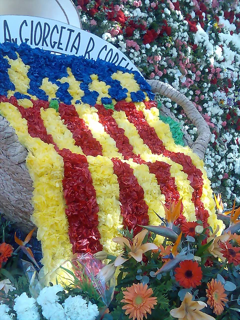 Senyera Flower.