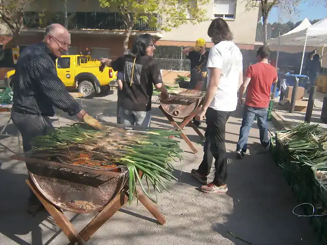 Sant Fruitos de Bages 2015-04-12 (27)