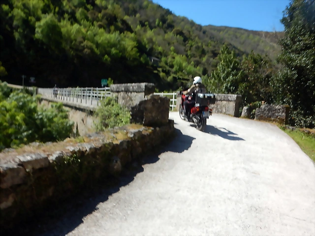 DSCN5551 DSCN5551