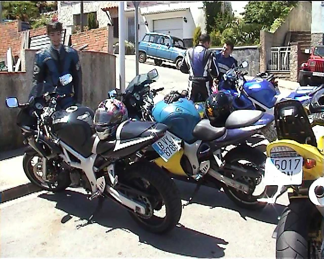 SVs2 SVs2