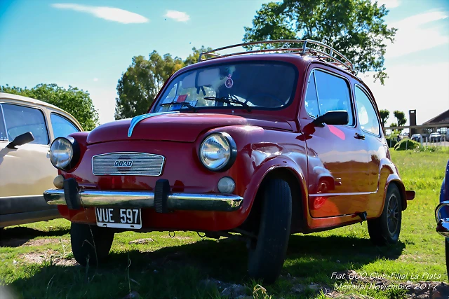 DSC_0439 DSC_0439