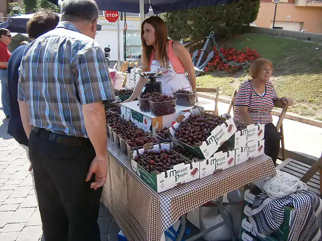 Sant Climent de Ll. 2015-05-31 (8)