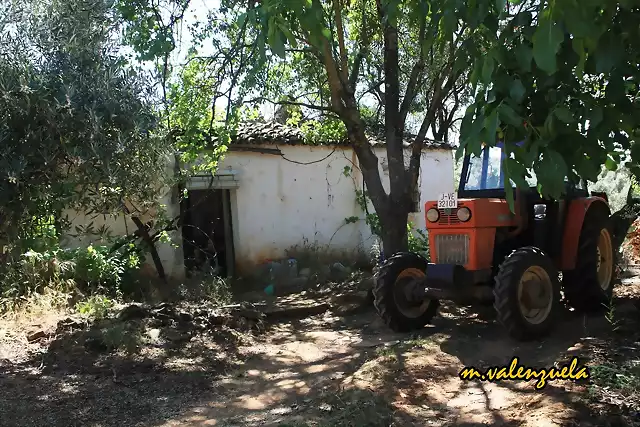 19, tractor a la sombra, marca