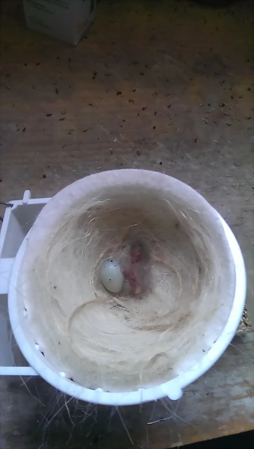 IMAG0435 IMAG0435