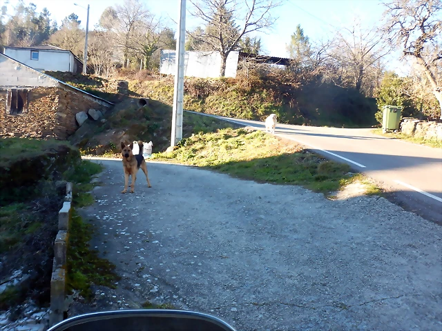 DSCN2624 DSCN2624