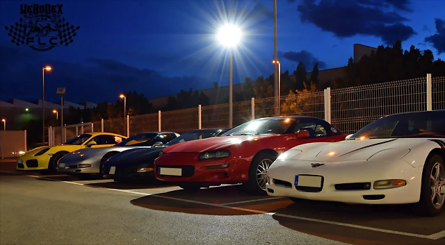 DSC_0519 DSC_0519