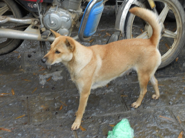 DSCN2735 DSCN2735