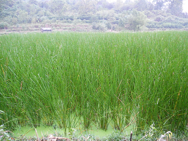 DSCN2820 DSCN2820