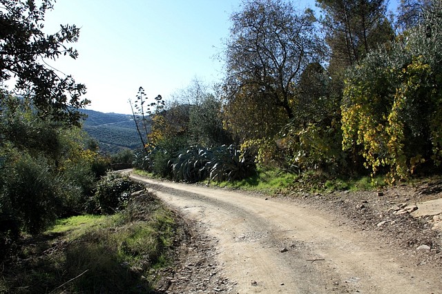 001, camino de la parrilla