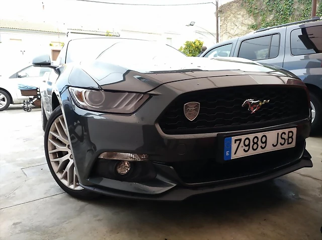 Mustang 1