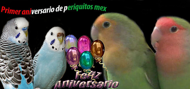 baner de aniversario