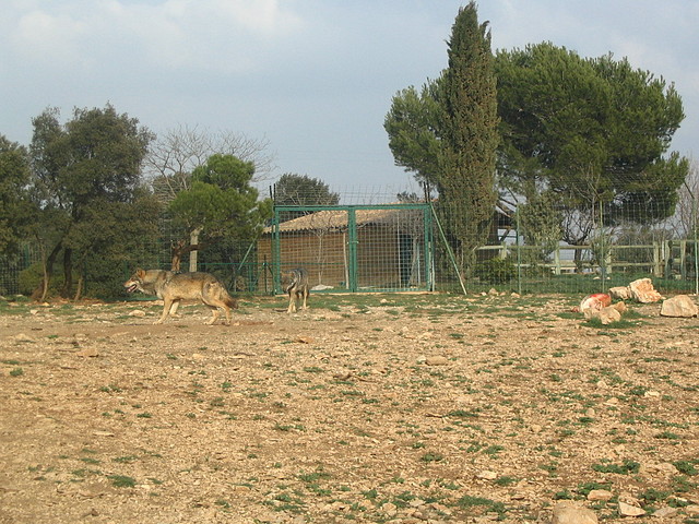 LaBarben 190 LaBarben 190