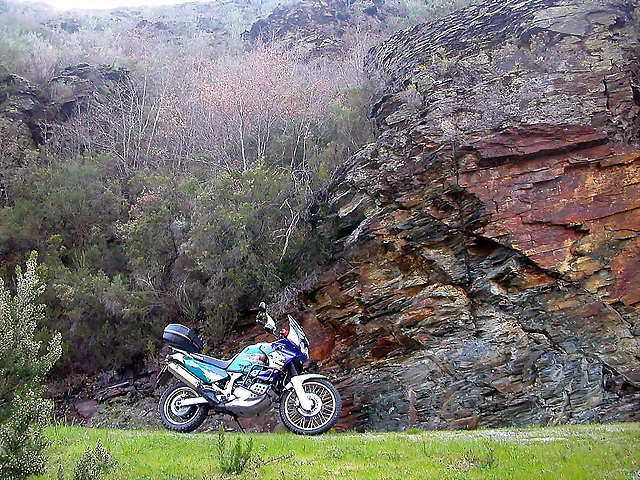 DSCN2118 DSCN2118