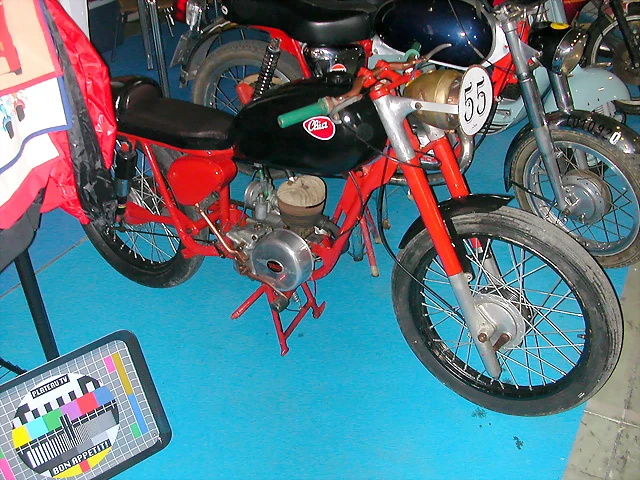 DSCN1969 DSCN1969