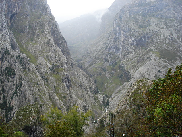DSC08420 DSC08420