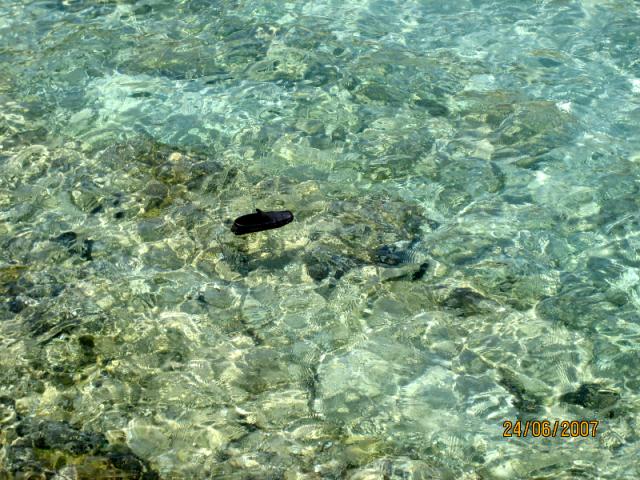 El zapato de JOMA en el mar... jejejejejeje