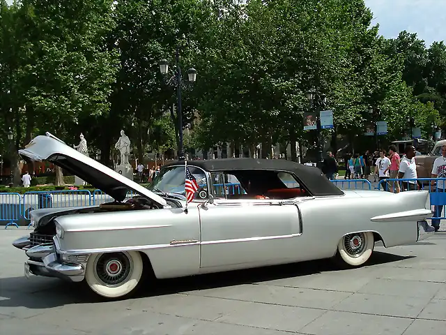 Cadi 50's