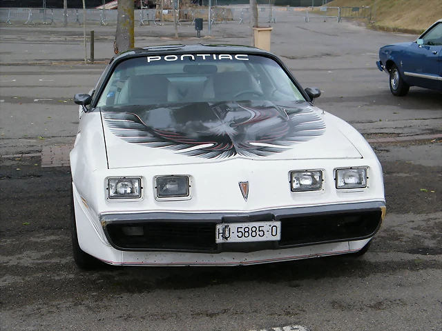 Trans Am 79-81 HU-5885-O Trans Am 79-81 HU-5885-O