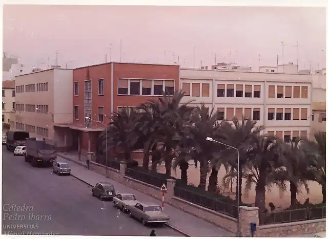 Elche colegio La Asuncion A