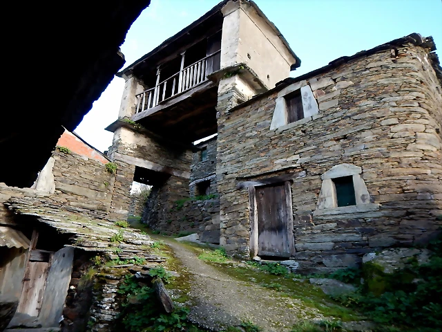 DSCN0971