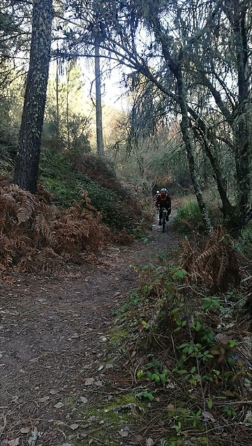 IMG-20170122-WA0020 IMG-20170122-WA0020