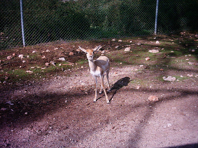 PIC04804