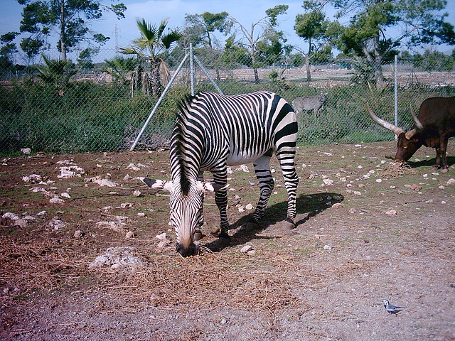 PIC04805