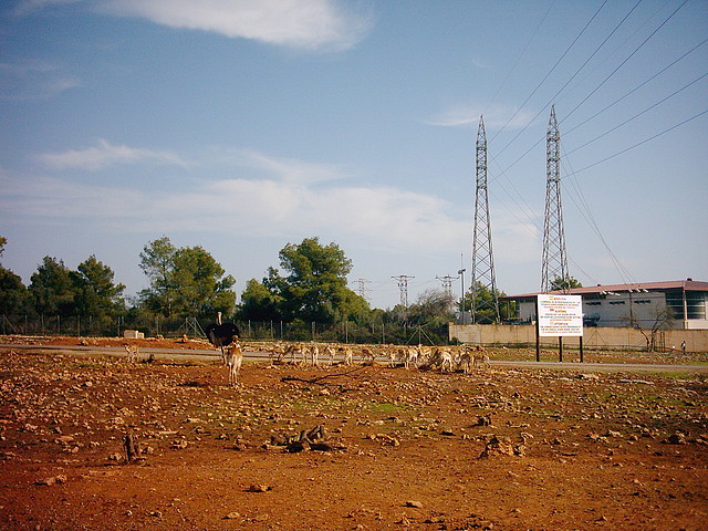 PIC04791